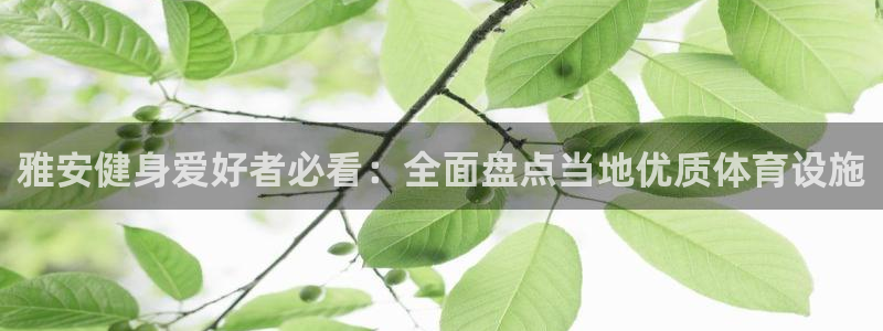 凯时官网app下载官方网站